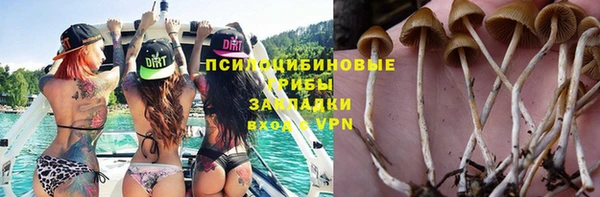 круглые Бронницы
