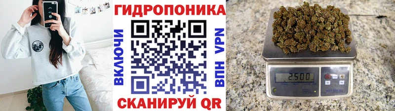 Купить закладки  Чехов  Бошки марихуана семена 